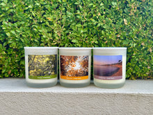 Load image into Gallery viewer, Delight Studio Collection