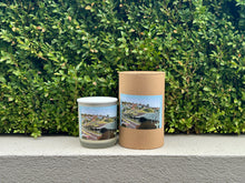 Load image into Gallery viewer, Billy Nye Collection