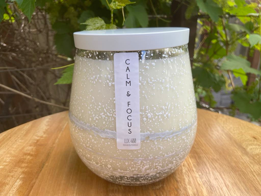 Calm & Focus Collection