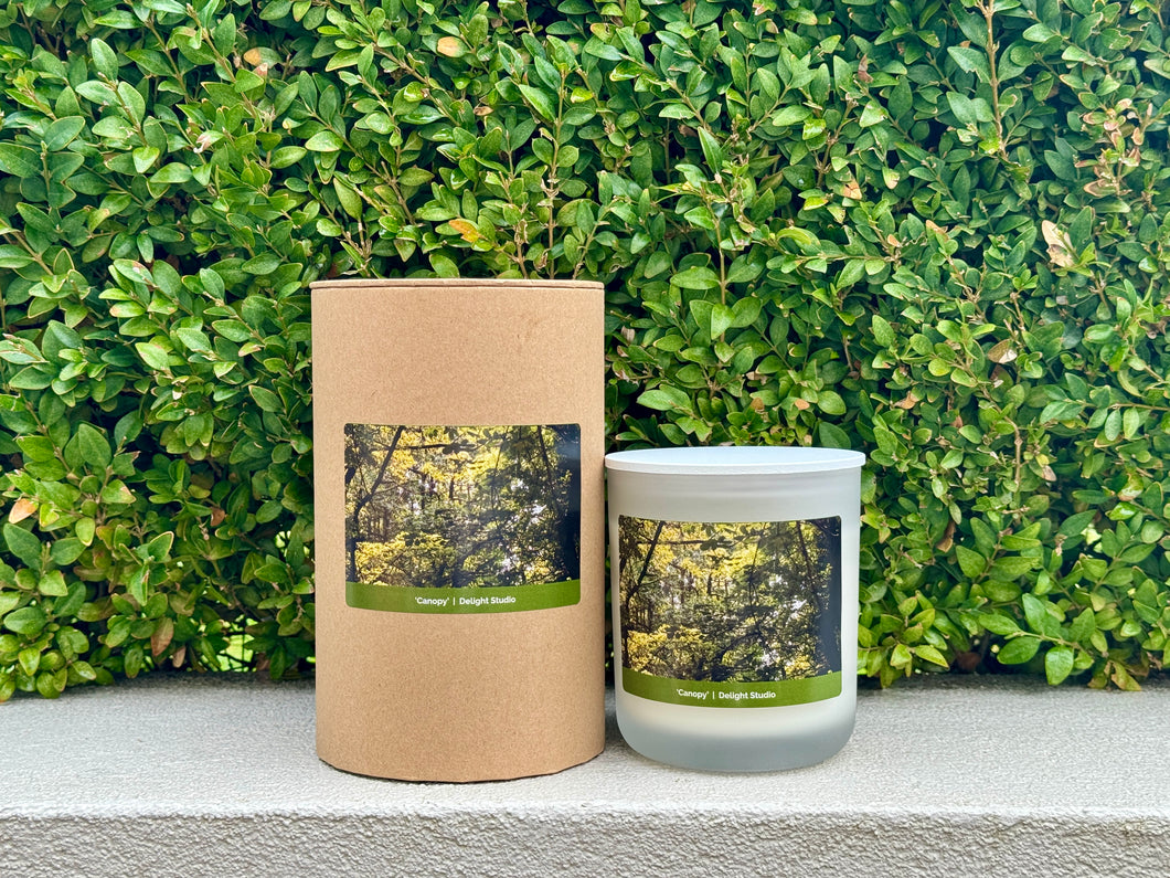 Delight Studio Collection