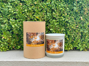 Delight Studio Collection