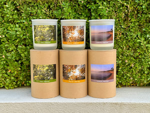Delight Studio Collection