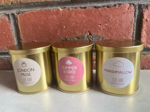 Tiny Tin Collection